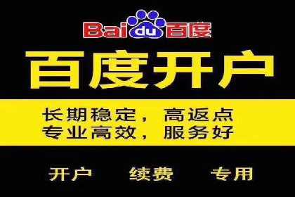 SEM代运营推广公司案例，揭秘高效广告投放策略